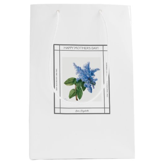 Lila  Moederdag Gift Bag Medium Cadeauzakje (Voorkant)