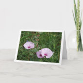 Lila Morning Glory, Mallow Bindweed Wildflower Kaart (Voorkant)