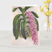  Lila orchidee Aerides Fieldingi Lindenia Kaart (Gele Bloem)