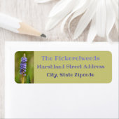 Lila Paars Pickerelweed Flower Botanical Floral Etiket (Insitu)