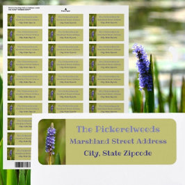 Lila Paars Pickerelweed Flower Botanical Floral Etiket