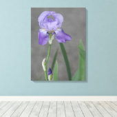 Lila Paarse gepantserde iris Canvas Afdruk (Insitu (Houten vloer))