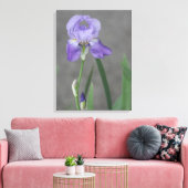 Lila Paarse gepantserde iris Canvas Afdruk (Insitu (Woonkamer))