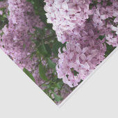 Lila papier voor vetweefsel (Detail)