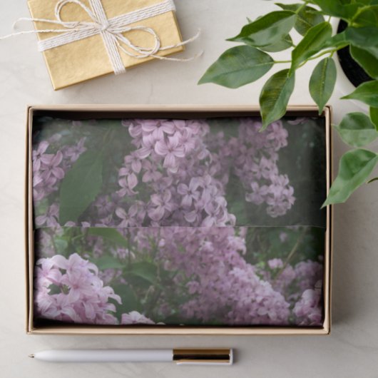 Lila papier voor vetweefsel (Geschenk)