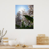 Lila Poster (Keuken)