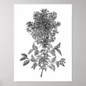 Lila Poster (Voorkant)