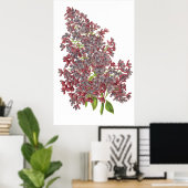 Lila PREMIUM BOTANISCHE AFDRUKKING Poster (Thuiskantoor)