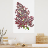 Lila PREMIUM BOTANISCHE AFDRUKKING Poster (Keuken)