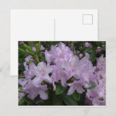 Lila Rhododendron Flowers DIY Briefkaart (Voorkant / Achterkant)