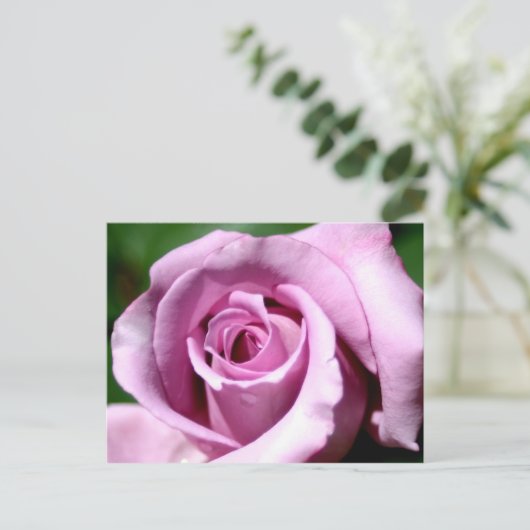 Lila roos briefkaart (Staand voorkant)
