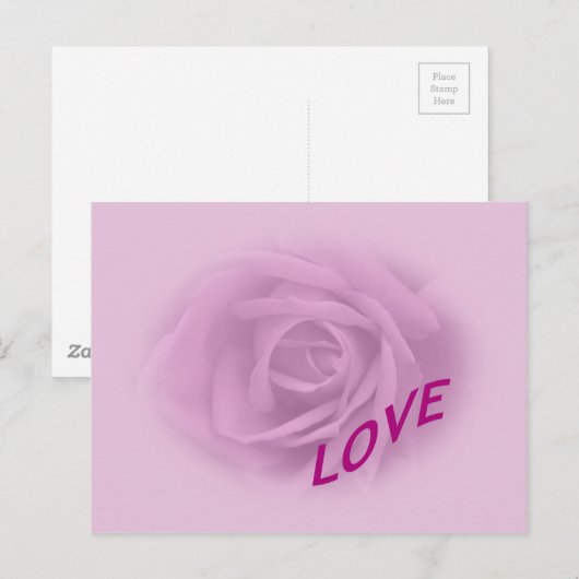 Lila Roos voor Liefde Briefkaart (Voorkant / Achterkant)