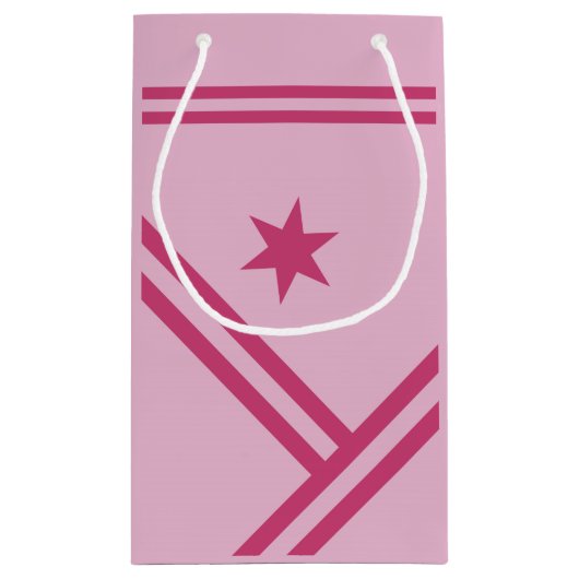 Lila roze diagonaal Stripes Star Modern Graphic Klein Cadeauzakje (Achterkant)