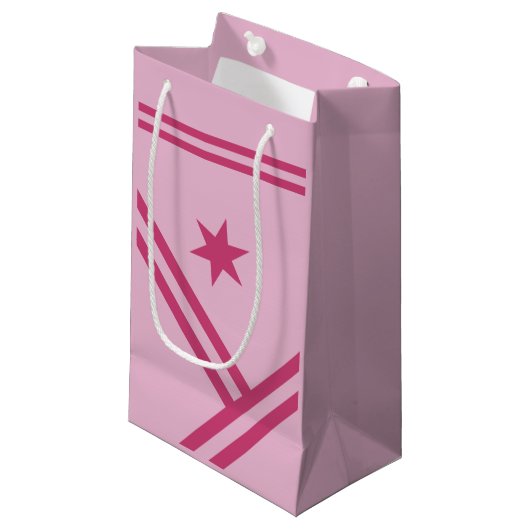 Lila roze diagonaal Stripes Star Modern Graphic Klein Cadeauzakje (Voorkant Gekanteld)