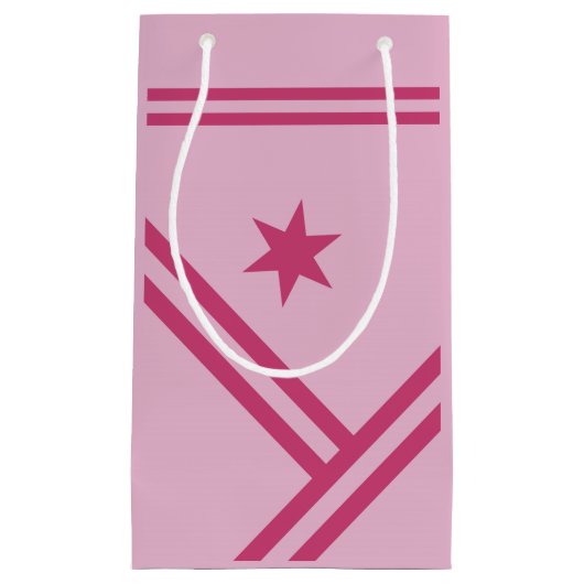 Lila roze diagonaal Stripes Star Modern Graphic Klein Cadeauzakje (Voorkant)