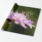 Lila Scabious (Knautia arvensis) Bloem Custom Cadeaupapier (Uitgerold)