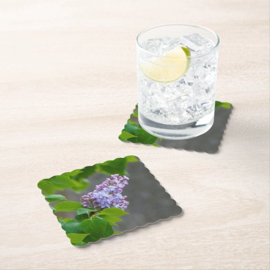 Lila schoonheid kartonnen onderzetters (Insitu)