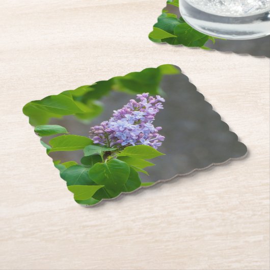 Lila schoonheid kartonnen onderzetters (Gebogen)