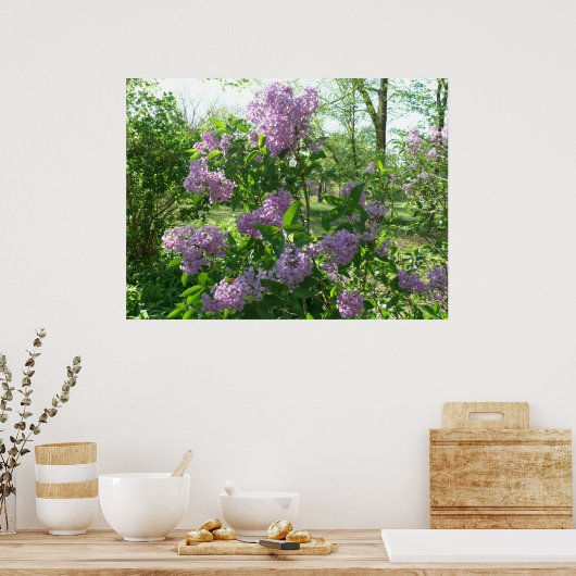 Lila schoonheid poster (Keuken)