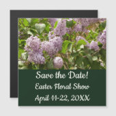 Lila Struik Beauful Paarse Spring Flowers (Voorkant / Achterkant)