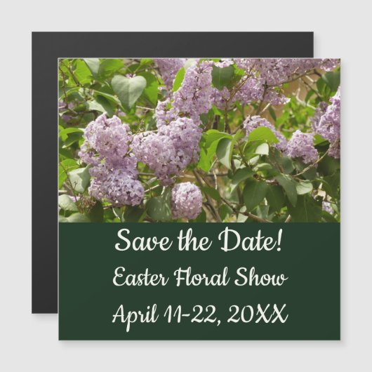 Lila Struik Beauful Paarse Spring Flowers (Voorkant / Achterkant)