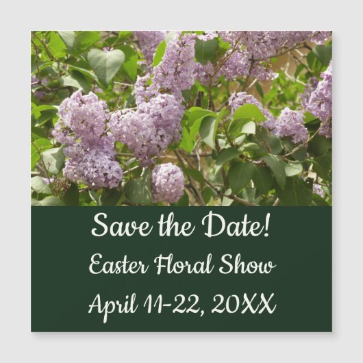 Lila Struik Beauful Paarse Spring Flowers (Voorkant)