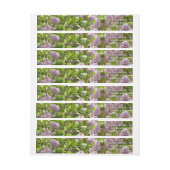 Lila Struik Beauful Paarse Spring Flowers (Vel)