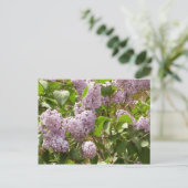 Lila Struik Beauful Paarse Spring Flowers Briefkaart (Staand voorkant)
