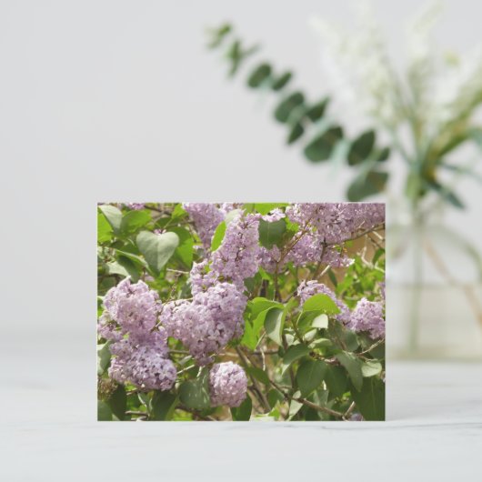 Lila Struik Beauful Paarse Spring Flowers Briefkaart (Staand voorkant)