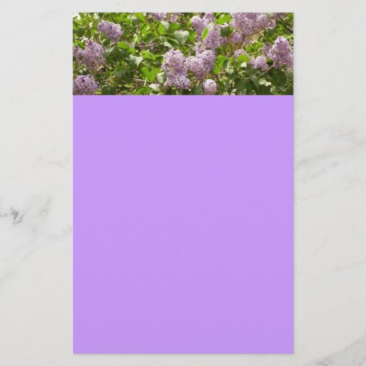 Lila Struik Beauful Paarse Spring Flowers Briefpapier (Voorkant)