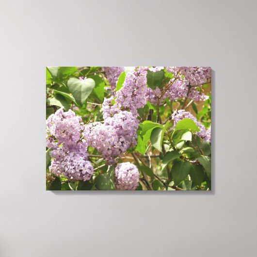Lila Struik Beauful Paarse Spring Flowers Canvas Afdruk (Voorkant)
