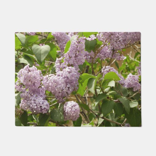 Lila Struik Beauful Paarse Spring Flowers Deurmat (Voorkant)