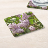 Lila Struik Beauful Paarse Spring Flowers Kartonnen Onderzetters (Schuin)