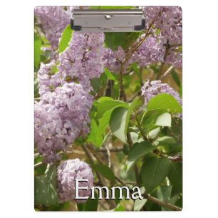 Lila Struik Beauful Paarse Spring Flowers Klembord