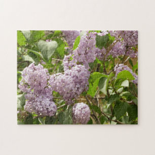 Lila Struik Beauful Paarse Spring Flowers Legpuzzel