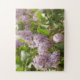 Lila Struik Beauful Paarse Spring Flowers Legpuzzel