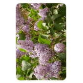 Lila Struik Beauful Paarse Spring Flowers Magneet (Verticaal)
