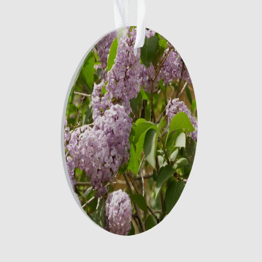 Lila Struik Beauful Paarse Spring Flowers Ornament (voorkant)