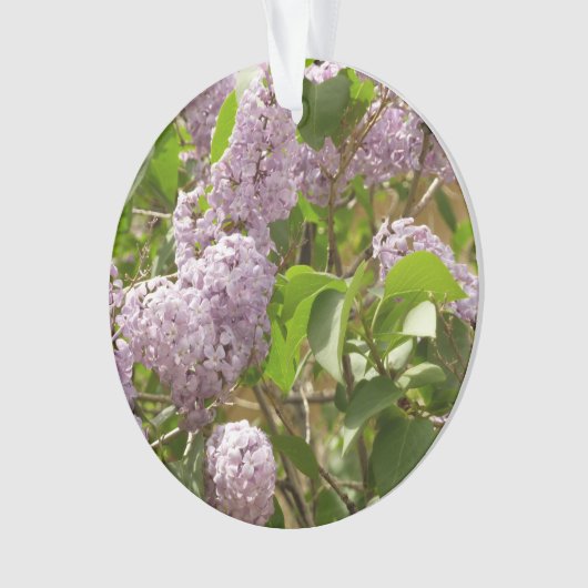 Lila Struik Beauful Paarse Spring Flowers Ornament (voorkant)