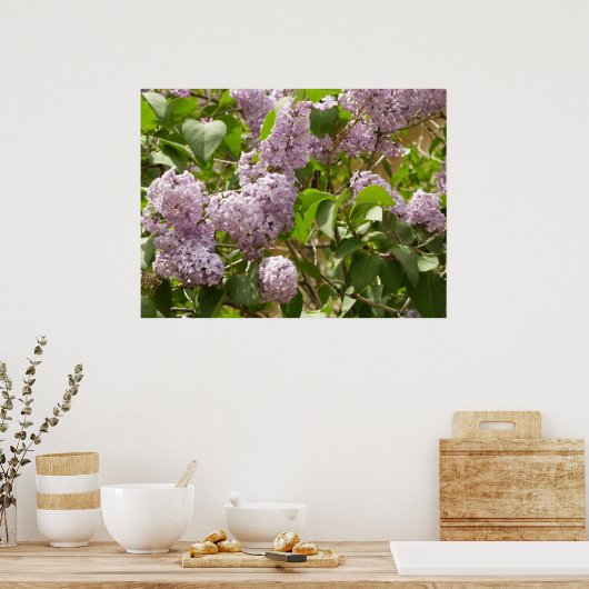 Lila Struik Beauful Paarse Spring Flowers Poster (Keuken)