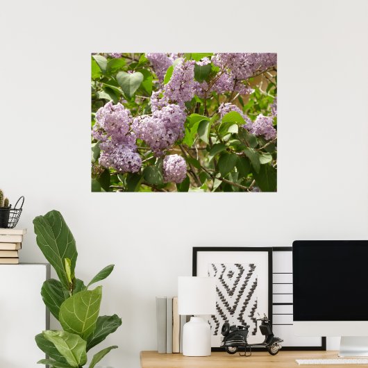 Lila Struik Beauful Paarse Spring Flowers Poster (Thuiskantoor)