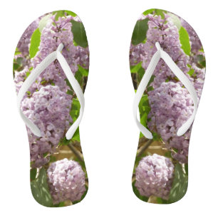Lila Struik Beauful Paarse Spring Flowers Teenslippers