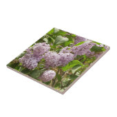 Lila Struik Beauful Paarse Spring Flowers Tegeltje (Zijkant)