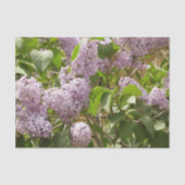 Lila Struik Beauful Paarse Spring Flowers Tissuepapier (Voorkant)