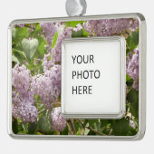 Lila Struik Beauful Paarse Spring Flowers Verzilverd Omlijst Ornament (Links)