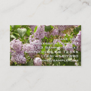 Lila Struik Beauful Paarse Spring Flowers Visitekaartje