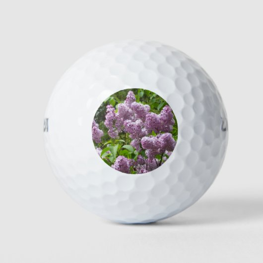Lila Struik Golfballen (Voorkant)