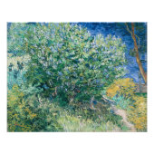 Lila Struik (Lilacs) van Vincent Van Gogh Foto Afdruk (Voorkant)