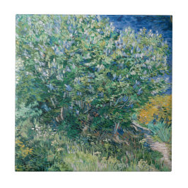 Lila Struik (Lilacs) van Vincent Van Gogh Tegeltje