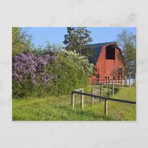 Lila struiken in bloei en magneten in bomen briefkaart